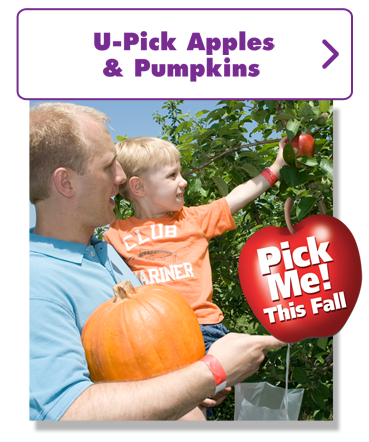 U-Pick Apples and Pumpkins