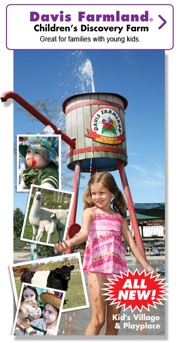 Davis Farmland Childrens Discovery Farm. Great for families with young kids.