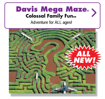 Davis Mega Maze Colossal Family Fun. Adventure for ALL ages.